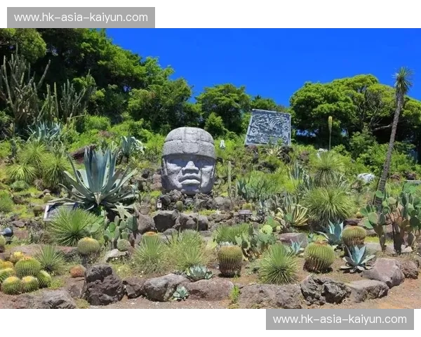 樱花与袋鼠的激情碰撞：日本vs澳洲，一场跨越国度的精彩对决！